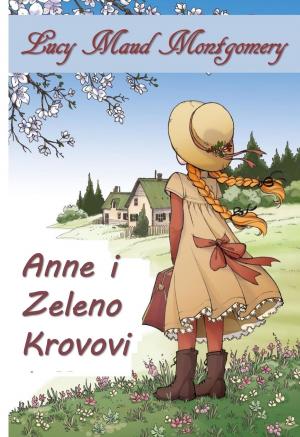 Book cover of Anne Zelenih Žabica