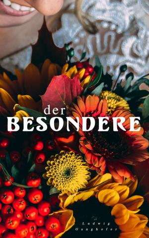 Cover of the book Der Besondere by James Fenimore Cooper
