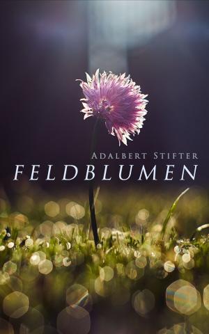 Book cover of Feldblumen