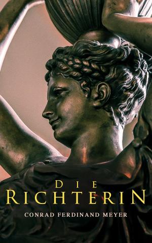 Cover of the book Die Richterin by Allison Chisolm