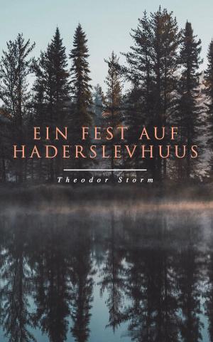 Cover of the book Ein Fest auf Haderslevhuus by Arthur  Schopenhauer