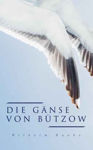 Book cover of Die Gänse von Bützow