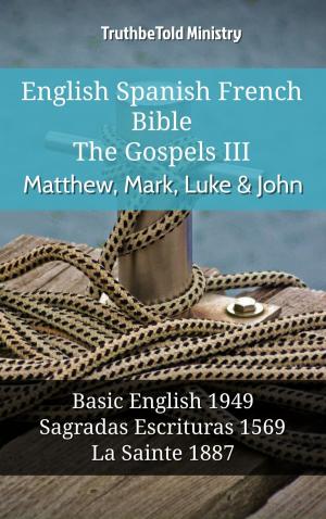 Book cover of English Spanish French Bible - The Gospels III - Matthew, Mark, Luke & John