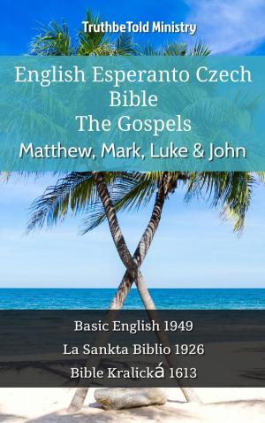 Cover of English Esperanto Czech Bible - The Gospels - Matthew, Mark, Luke & John