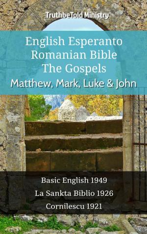 Cover of English Esperanto Romanian Bible - The Gospels - Matthew, Mark, Luke & John