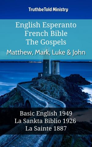 bigCover of the book English Esperanto French Bible - The Gospels - Matthew, Mark, Luke & John by 