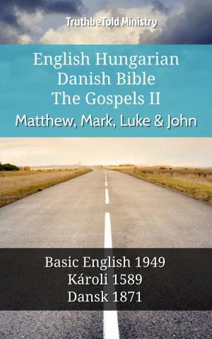 bigCover of the book English Hungarian Danish Bible - The Gospels II - Matthew, Mark, Luke & John by 