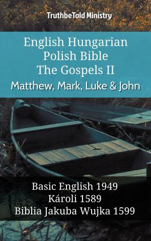 bigCover of the book English Hungarian Polish Bible - The Gospels II - Matthew, Mark, Luke & John by 