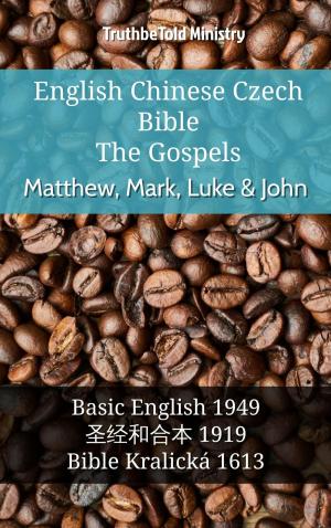 Cover of the book English Chinese Czech Bible - The Gospels - Matthew, Mark, Luke & John by TruthBeTold Ministry
