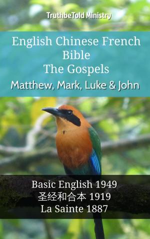 bigCover of the book English Chinese French Bible - The Gospels - Matthew, Mark, Luke & John by 