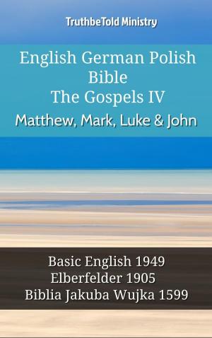 bigCover of the book English German Polish Bible - The Gospels IV - Matthew, Mark, Luke & John by 