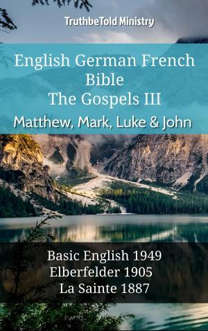 Book cover of English German French Bible - The Gospels III - Matthew, Mark, Luke & John