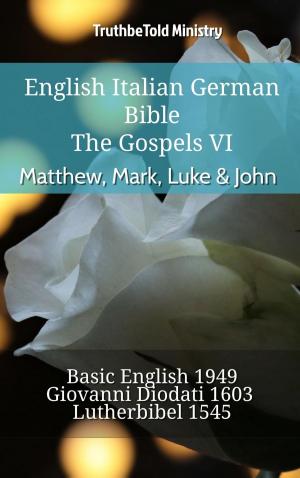 Cover of English Italian German Bible - The Gospels VI - Matthew, Mark, Luke & John