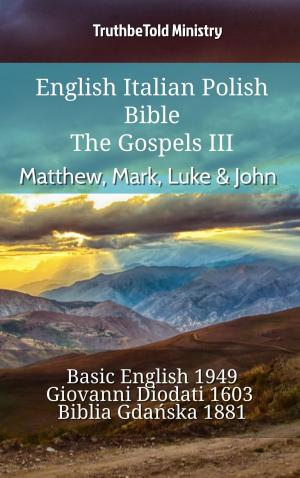 Cover of the book English Italian Polish Bible - The Gospels III - Matthew, Mark, Luke & John by André Wénin