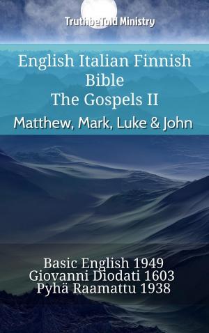 bigCover of the book English Italian Finnish Bible - The Gospels II - Matthew, Mark, Luke & John by 