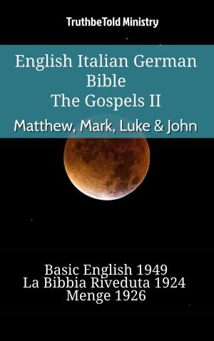 bigCover of the book English Italian German Bible - The Gospels II - Matthew, Mark, Luke & John by 