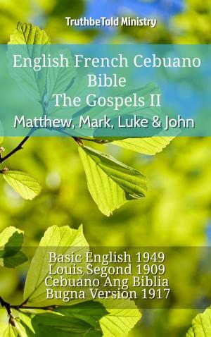 bigCover of the book English French Cebuano Bible - The Gospels - Matthew, Mark, Luke & John by 