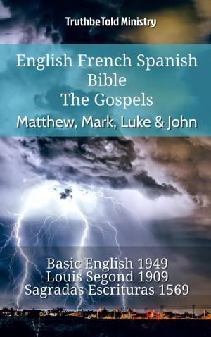 Book cover of English French Spanish Bible - The Gospels - Matthew, Mark, Luke & John