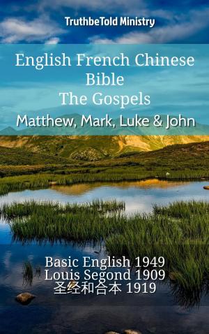 Cover of the book English French Chinese Bible - The Gospels - Matthew, Mark, Luke & John by Wolf Krötke