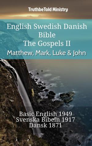 bigCover of the book English Swedish Danish Bible - The Gospels II - Matthew, Mark, Luke & John by 
