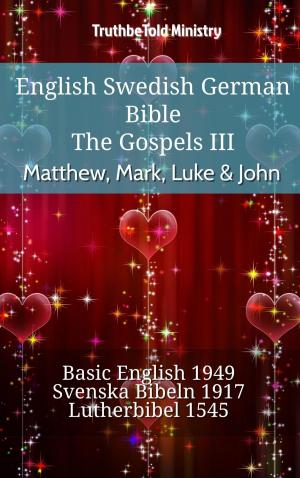 bigCover of the book English Swedish German Bible - The Gospels III - Matthew, Mark, Luke & John by 