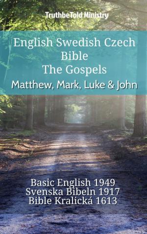 bigCover of the book English Swedish Czech Bible - The Gospels - Matthew, Mark, Luke & John by 