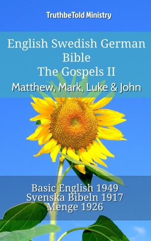 Cover of English Swedish German Bible - The Gospels II - Matthew, Mark, Luke & John