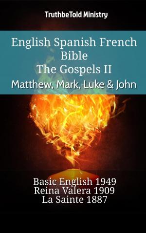 Book cover of English Spanish French Bible - The Gospels II - Matthew, Mark, Luke & John