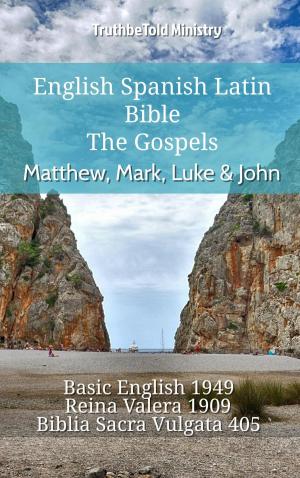 Book cover of English Spanish Latin Bible - The Gospels - Matthew, Mark, Luke & John