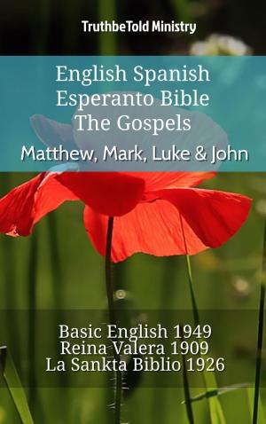 Book cover of English Spanish Esperanto Bible - The Gospels - Matthew, Mark, Luke & John