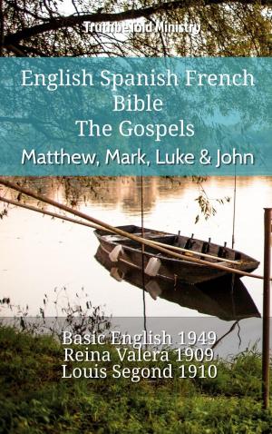 Book cover of English Spanish French Bible - The Gospels - Matthew, Mark, Luke & John