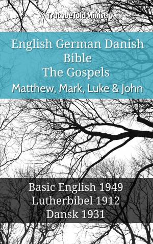 bigCover of the book English German Danish Bible - The Gospels - Matthew, Mark, Luke & John by 
