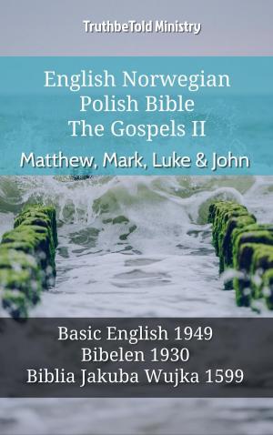 bigCover of the book English Norwegian Polish Bible - The Gospels II - Matthew, Mark, Luke & John by 