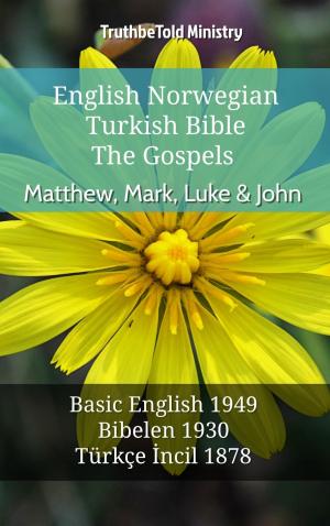 Cover of the book English Norwegian Turkish Bible - The Gospels - Matthew, Mark, Luke & John by Annamária Lammel, Ilona Nagy