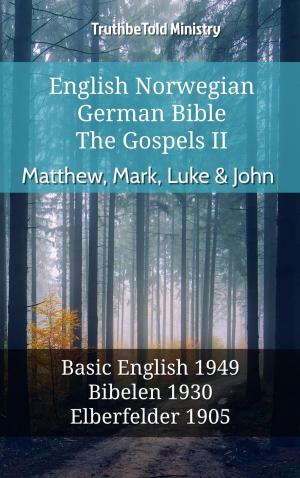 bigCover of the book English Norwegian German Bible - The Gospels II - Matthew, Mark, Luke & John by 