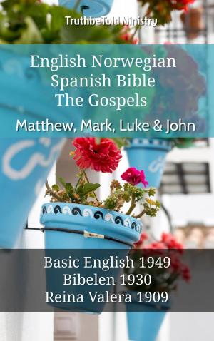 bigCover of the book English Norwegian Spanish Bible - The Gospels - Matthew, Mark, Luke & John by 