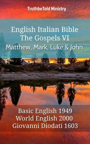 bigCover of the book English Italian Bible - The Gospels VI - Matthew, Mark, Luke and John by 