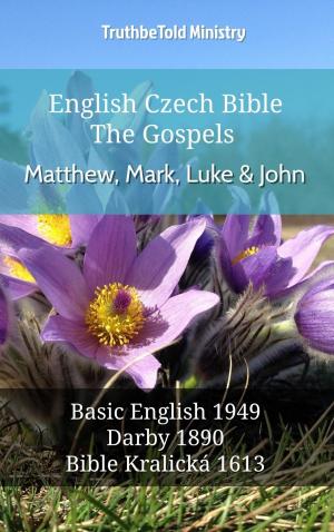 Cover of the book English Czech Bible - The Gospels - Matthew, Mark, Luke and John by Dr David L Cook