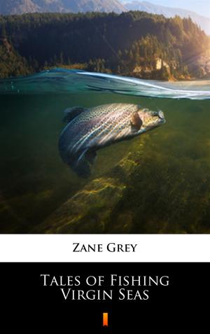 Cover of the book Tales of Fishing Virgin Seas by John Buchan