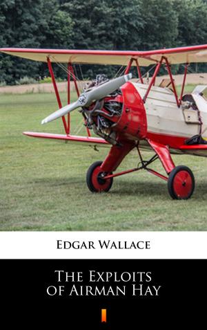 bigCover of the book The Exploits of Airman Hay by 