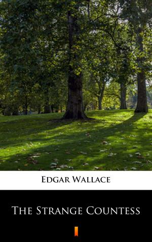 Cover of the book The Strange Countess by Edgar Wallace