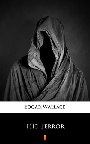 Cover of the book The Terror by Edgar Wallace