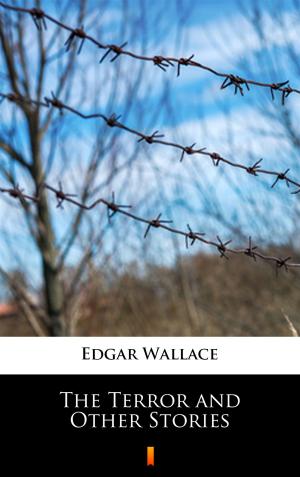 Cover of the book The Terror and Other Stories by Edgar Wallace