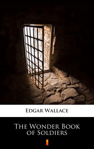 Cover of the book The Wonder Book of Soldiers by Edgar Wallace