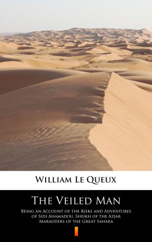 Cover of the book The Veiled Man by William Le Queux