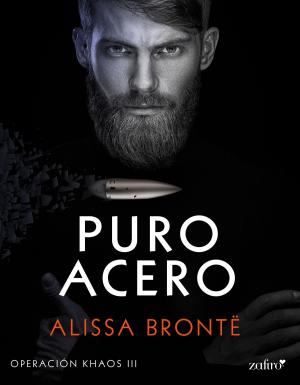 Cover of the book Puro acero by Luz Guillén