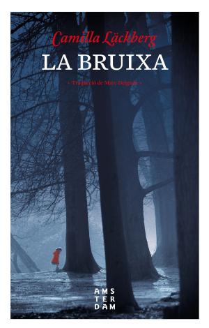 Cover of the book La bruixa by Alberto Serrador