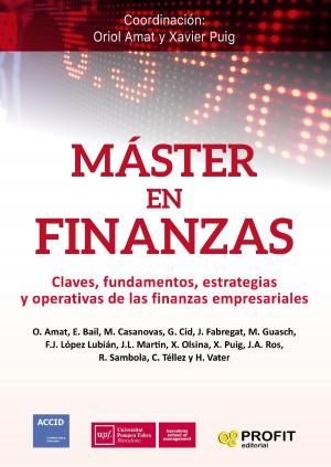 Cover of the book Máster en Finanzas by Comisión de contabilidad de gestión de accid