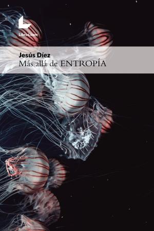 Cover of the book Más allá de ENTROPÍA by Pablo Morales de los Ríos