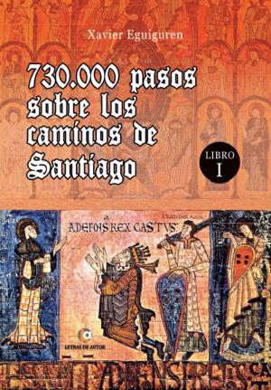 Cover of the book 730.000 pasos sobre los caminos de Santiago by Alberto Caselles